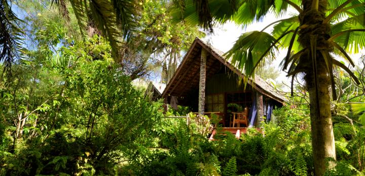 Voyage sur-mesure, Villas standard en pleine nature